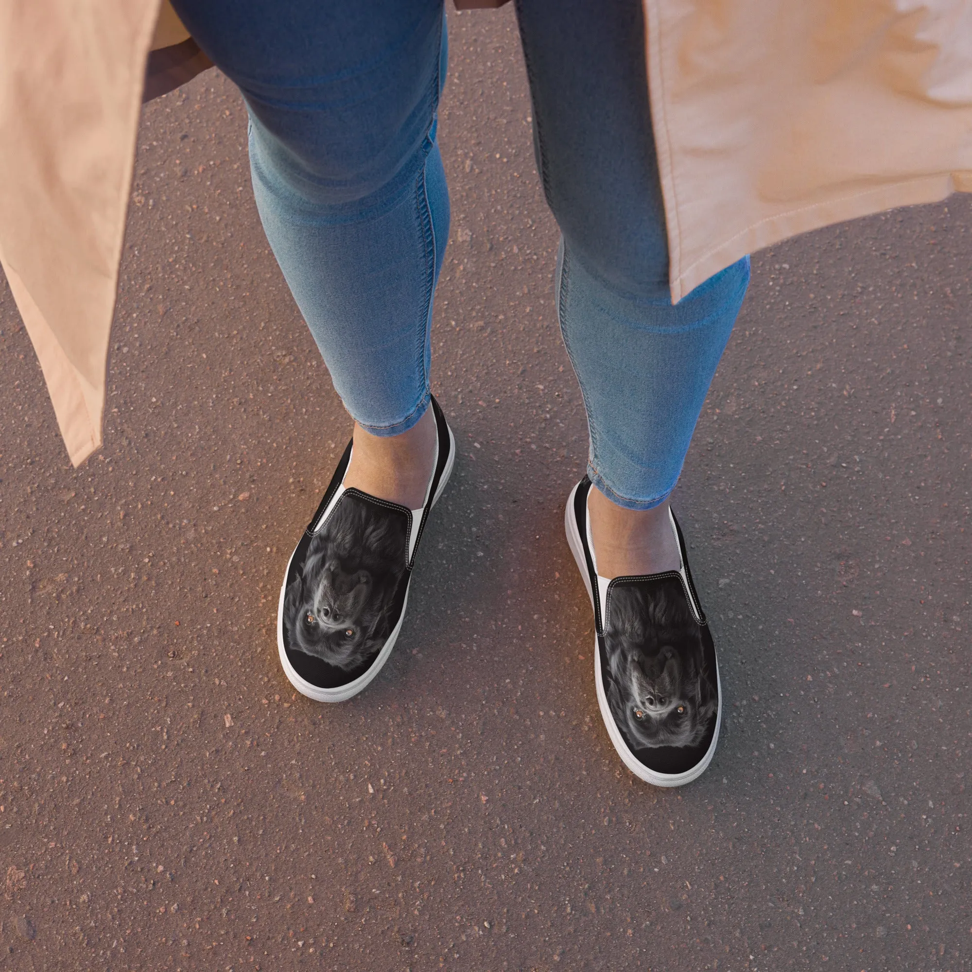 Golden Black Lab Women’s slip-on canvas shoes