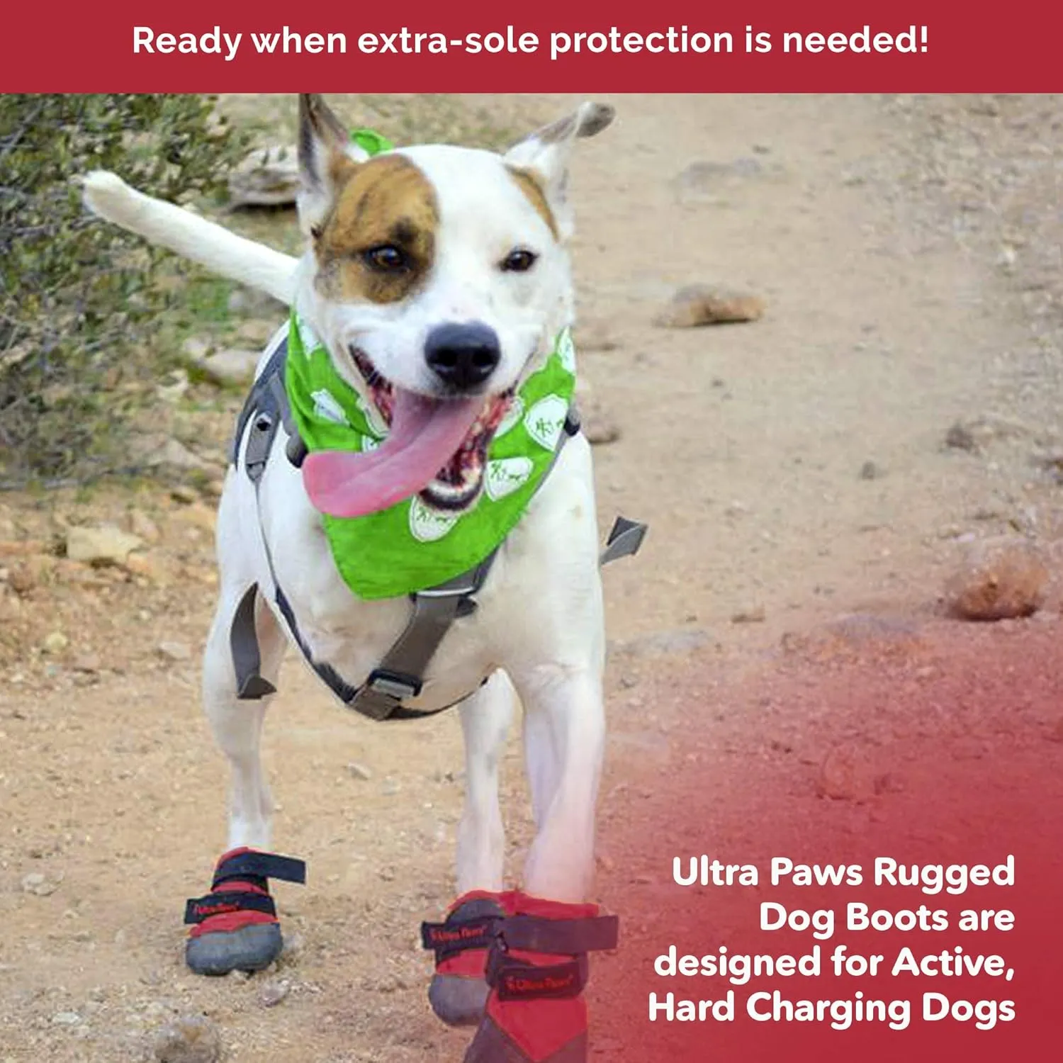 Rugged Dog Boots and Paw Protectors for Small, Medium and Large Dogs Red (Size 4)