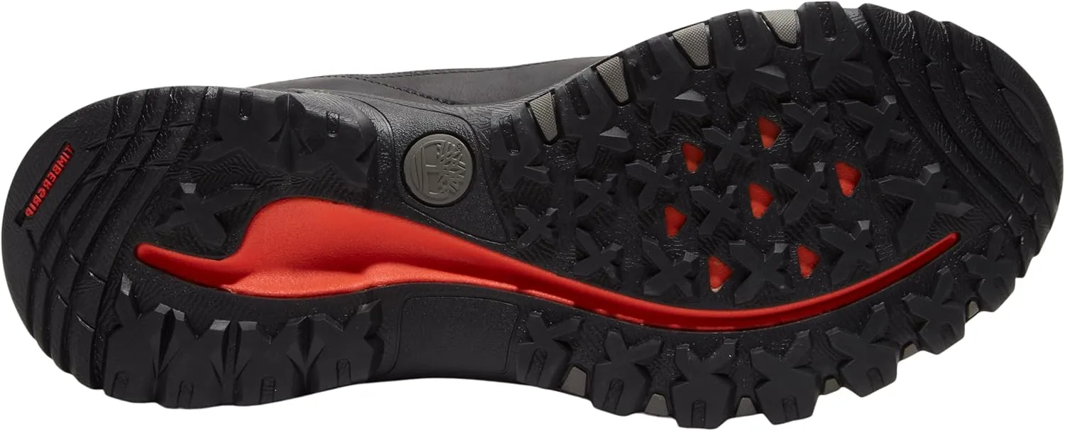 Timberland Men's Mt. Maddsen Peak Hiking Shoe