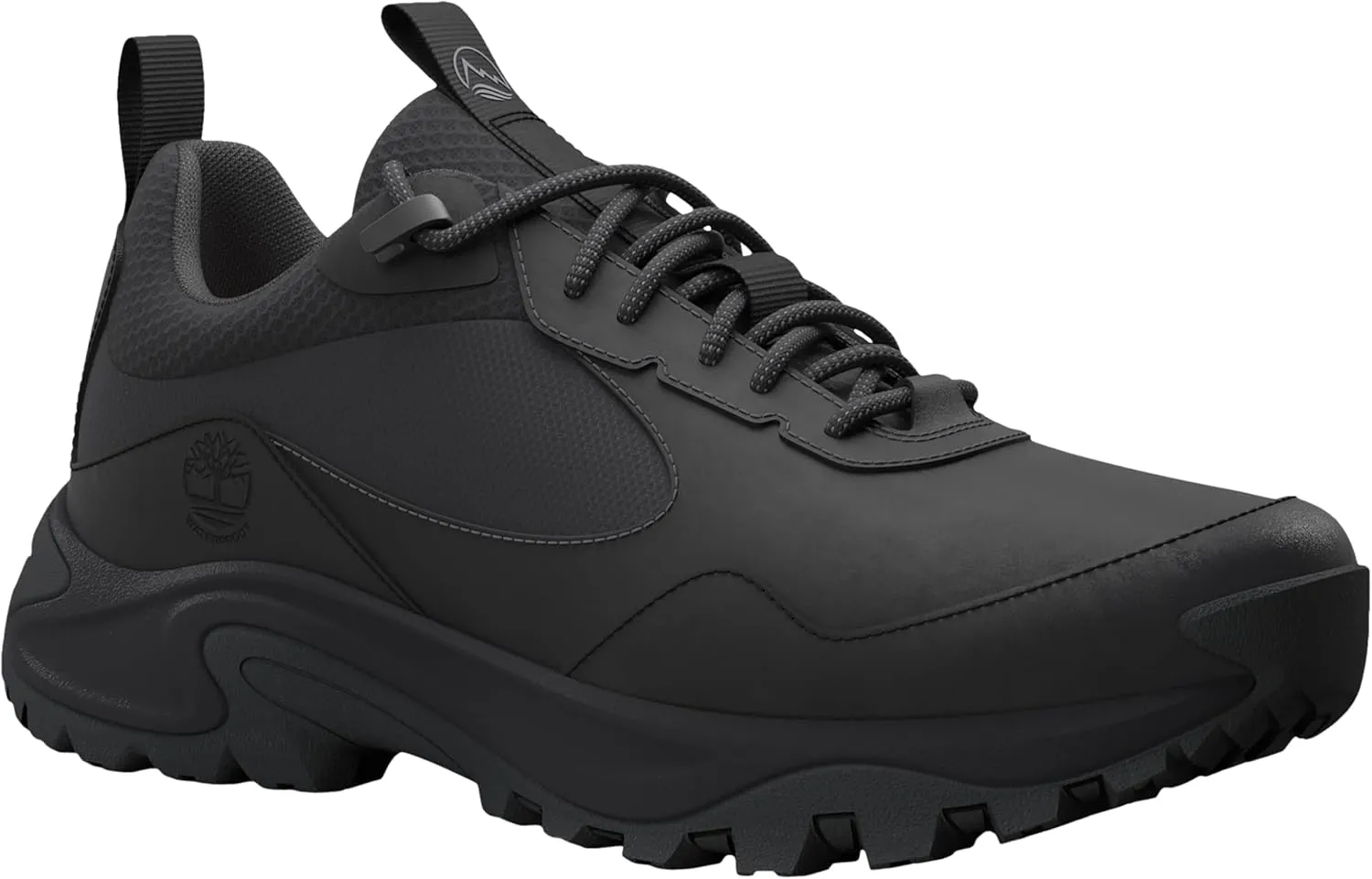 Timberland Men's Mt. Maddsen Peak Hiking Shoe